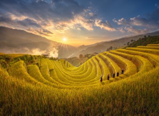 Kinh nghiệm du lịch Hà Giang mùa lúa chín năm 2020