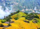 Mùa Tam giác mạch Hà Giang hấp dẫn du khách thập phương