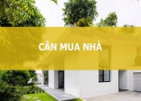 Website mua bán bất động sản Phú Thọ