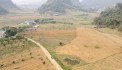 Chính chủ cần chuyển nhượng gấp 1 ha đất thổ cư giá rẻ tại Kim Bôi Hòa Bình