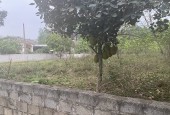 Cần bán đất tại xã Cao Dương, huyện Lương Sơn, Hòa Bình