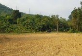 Bán đất 2100m đất thổ cư và đất vườn bám mặt đường QL6 xã Mông Hóa, TP Hòa Bình giá chính chủ f0
