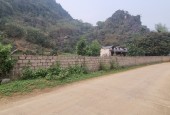 Bán 2 lô với tổng diện tích 3500m có 600m thổ cư sẵn 2 sổ tại Cao Dương - Lương Sơn - Hòa Bình