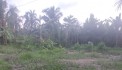 Sở Hữu Ngay Lô Đất Đẹp Vị Trí Đắc Địa Tại Ấp Đồng Bé, Xã Tân Long, Huyện Mang Thít, Vĩnh Long