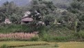 Cần Bán Gấp Lô Đất Vị Trí Đẹp View Đồi Núi Tại Lào Cai - ĐẤT CHÍNH CHỦ