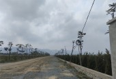 Cần chuyển nhượng 8000m2 đất công nghiệp 50 năm tại Xã Yên Lư, Huyện Yên Dũng, Tỉnh Bắc Giang