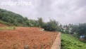 10.500m đất Yên Bình thạch thất giá chưa tới 1tr/m siêu rẻ