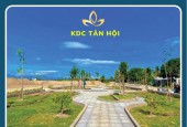 Bán nhanh lô đất tuyệt đẹp tại KDC Tân Hội đầu đường Thống Nhất Tp. Phan Rang giá chỉ 998tr/m2 thanh toán 10 đợt
- Diện tích: 100m2 (5x20) thổ cư