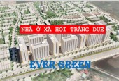 Dự án NOXH Evergreen Tràng Duệ 2023 gồm 10 tòa nhà cao 15 tầng