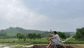 ĐẤT ĐẸP – GIÁ ƯU ĐÃI - Cần Bán Gấp Lô Đất Đẹp tại Lương Sơn, Hòa Bình