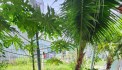 Bán nhà vườn nghỉ dưỡng siêu đẹp ngay Tân Bình, Vĩnh Cữu chỉ 2,5 tỷ