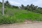Cần Bán Nhanh Lô Đất Tiềm năng- Giá Tốt tại huyện Tam Bình, tỉnh Vĩnh Long