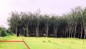 Bán lô đất góc 2 mặt tiền hẻm gần KCN Phước Đông ở Ấp Rộc B, Thạnh Đức