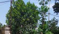 siêu phẩm nhích nhẹ 10tr/m đất tiên trượng - Thị trấn Xuân mai 
Trung tâm TP vệ tinh phát triển tiềm năng cao 
- diện tích 80m sẵn sổ đỏ 
- tiện ích