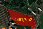 Bán lô đất lúa vườn xã Đức Tân  chuyển thổ giá 3,34 tỷ