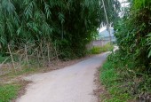 CHÍNH CHỦ - CẦN BÁN Đất Tại Cẩm Khê,Phú Thọ