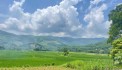 Chủ cần bán mảnh đất 500.7m2 có view tuyệt đẹp tại Xã Cư Yên - Lương Sơn - Hoà Bình