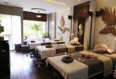 SIÊU PHẨM, MP HIẾM NHÀ BÁN, PHỐ NGUYỄN THỊ ĐỊNH, 52M2, 7T, KINH DOANH SPA, 32.5 TỶ