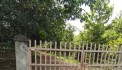 Bán đất vườn tổng diện tích 18 mẫu  xã đôn thuận - trảng bàng Tây Ninh