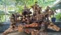 Cần bán  thác nước phong thuỷ, chất liệu bộ rễ lõi cây gỗ chai tại huyện Củ Chi TPHCM