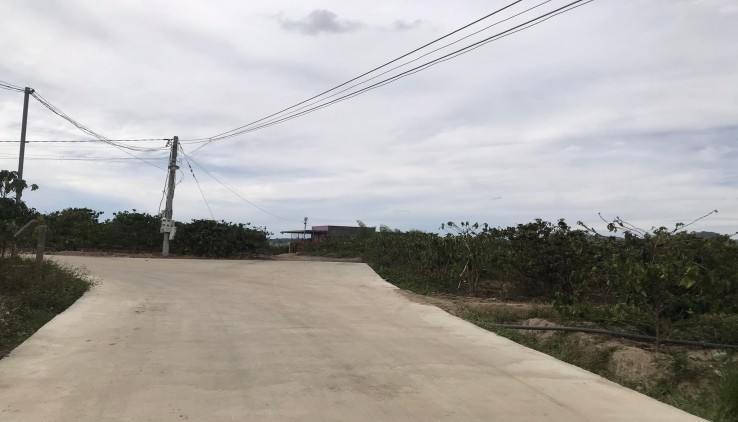 Bán đất 1,3ha Ninh Gia, Đức Trọng, Lâm Đồng, giá 14,8 tỷ nay giảm còn 14 tỷ