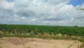 Cần bán đất vườn cây ăn trái 15 Hecta , đất đỏ Bazan, tại huyện Đắk Glong,Đắk Nông