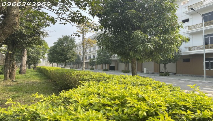 NHÀ 4 TẦNG, SẴN SỔ. 100% VIEW CÔNG VIÊN. TỈ LỆ ĐẤT TIỆN ÍCH 68.5%. CĐT: 0966 343 969