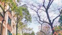 BÁN NHÀ ĐỐNG ĐA PHỐ TRẦN QUANG DIỆU - 58Mx4 TÀNG - PHÂN LÔ - Ô TÔ QUA NHÀ  - SIÊU HIẾM - GIÁ NHỈNH 10 TỶ.