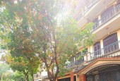 Bán Siêu Phẩm KĐT Định Công, An Sinh Cực Đỉnh, 79m x 4T x 4.2m. Giá 17.5 tỷ.