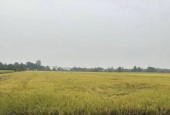 Bán gấp lô Đất Tây Ninh, huyện Tân Biên, xã Hòa Hiệp Giá 650tr