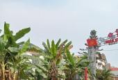 Chính chủ cần bán gấp lô siêu đẹp tại xã Kim Long, Tam Dương, Vĩnh Phúc.