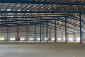 Cho Thuê Kho Xưởng Ngoại Khu Tân Uyên, Bình Dương - Diện Tích Đất 45.000m², Diện Tích Xưởng Từ 3.000m² Đến 15.000m², PCCC Tự Động, Trạm Điện 1000kVA,