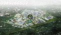 Ngộp Ngộp Nhà 600m2, có Dòng tiền, Giá nhỉnh 14TY,Gần Go Dĩ An, Bình Dương.