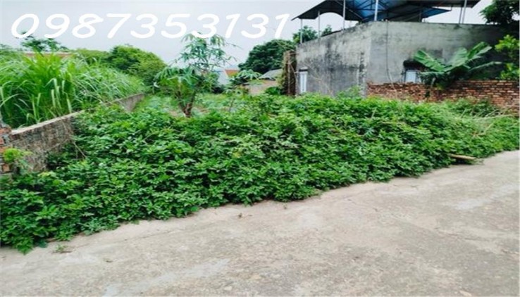 Chỉ 2,x tỷ Có 360m2 đất Minh Phú , Sóc Sơn cực đẹp đường thông rộng 4m.