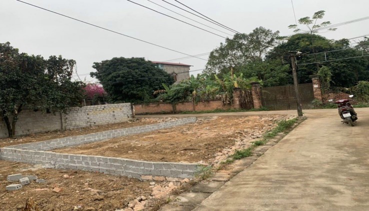 Cc gửi bán 81.5m2, 1.x tỷ (x tý hon), tk1,  lô góc, ô tô, xóm 4 Thuỷ Xuân Tiên, Chương Mỹ, gần kho J106,