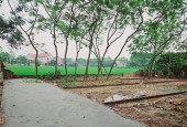 Bán đất thôn Sơn Đoài, xã Tân Minh, huyện Sóc Sơn