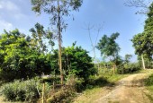 Bán Đất Đẹp - Vị Trí Đắc Địa Tại Xã Phú Vinh, Huyện Tân Lạc, Tỉnh Hoà Bình