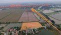 Bán gần 90m  đất đấu giá Thị trấn Phú Xuyên, đường vỉa hè rộng gần 3 m đầu tư tốt giá hơn 1 tỷ