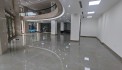 Siêu hót cho thuê nhà mặt phố mới toanh lô góc 24m, Trần Thái Tông, DTSD 3000m2 gồm 10 tầng