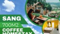 CHÍNH CHỦ SANG NHƯỢNG KD 700M2 HOMESTAY & COFFEE trung tâm TP.Đà Lạt