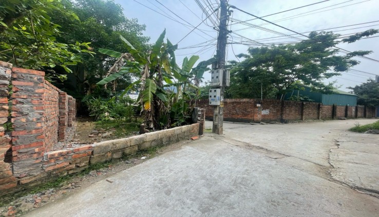 Cc gửi bán 91m2, 2.x tỷ, full thổ cư, trục chính kinh doanh, Đông Phương Yên, Chương Mỹ, Hà Nội.