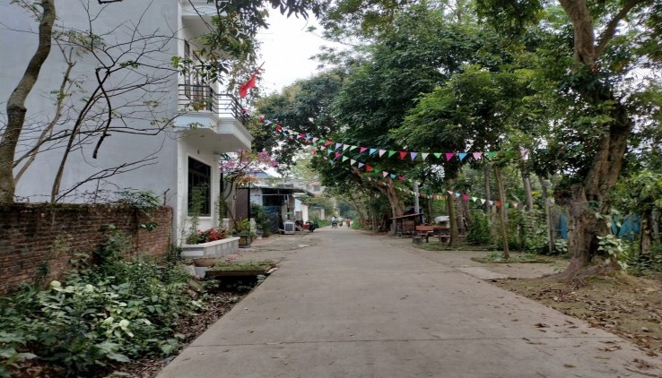 Cc gửi bán 50m2, 1.x tỷ, ĐẤT GIÃN DÂN xã Thuỵ hương, Chương Mỹ, HN, ngõ ô tô tải thông