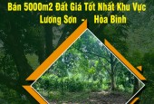 Chính Chủ Bán 5000m2 Đất Giá Tốt Nhất Khu Vực Lương Sơn-Hòa Bình