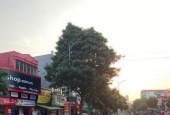 Chính chủ gửi bán mảnh đất  thôn đường Yên xã Xuân Nộn Đông Anh Hà Nội