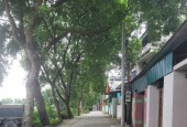 Siêu phẩm 30tr/m,  tại Bìa làng Đình Trung, Đông Anh, Hà Nội, bìa làng ô tô tránh