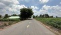 ĐẤT ĐẸP CHÍNH CHỦ đường DT785B Tân Hội, Tân Châu, Tây Ninh - Cách KCN Tân Hội một 2km
