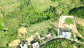 HOT HOT! CHÍNH CHỦ GIẢM MẠNH LÔ ĐẤT FULL THỔ CƯ 500M2 SUỐI TIÊN - DIÊN KHÁNH!