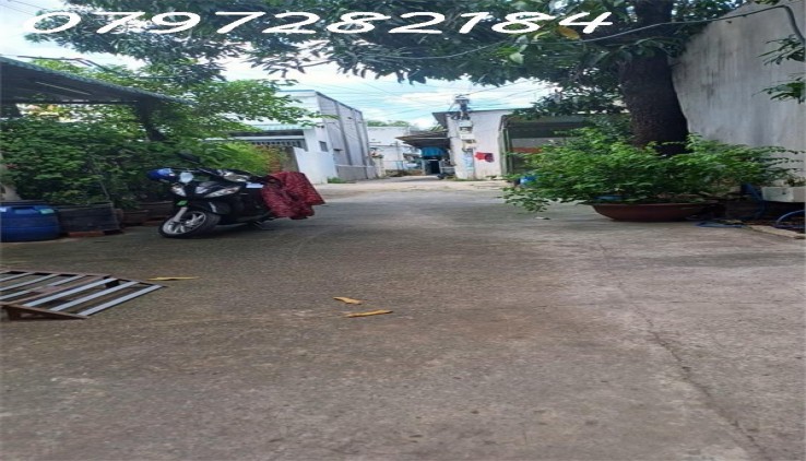 MUA BÁN NHÀ ,HXH, DT 84M2 LÒ LU,TRƯỜNG THẠNH ,QUẬN 9  GIÁ 4,1TỶ