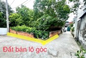 BÁN MẢNH ĐẤT SIÊU ĐẸP TẠI DƯƠNG ĐỨC HIỀN, GIA LÂM 100M,  2,9 tỷ. Ô TÔ VÀO, LÔ GÓC.