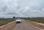 Chuyển nhượng lô Đình Trám Sen Hồ sổ nét căng.